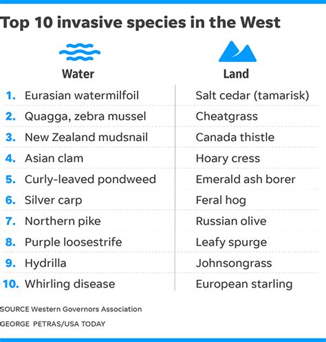 Invasive Species List