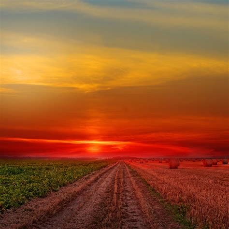 2932x2932 Colorful Sunset At Lonely Field Ipad Pro Retina Display