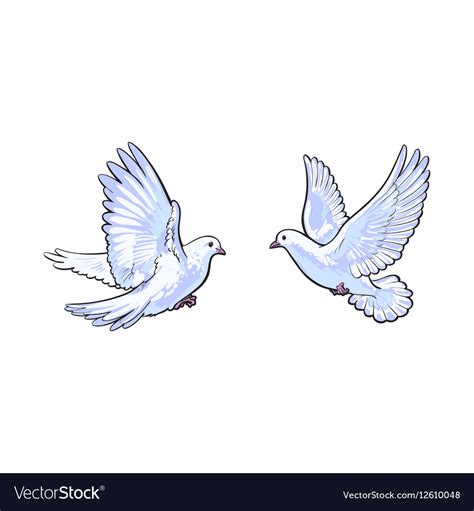Two Free Flying White Doves Isolated Sketch Style Vector Image