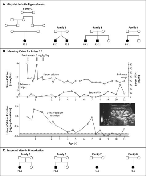 Mutations In Cyp24a1 And Idiopathic Infantile Hypercalcemia Nejm