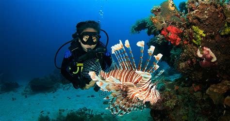 Drift Dive Specialty For 1 Dive In Havelock Island Andaman And Nicobar