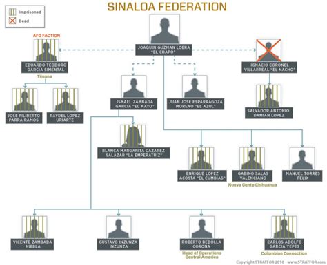 The Hierarchy Of Mexicos Sinaloa Federation Cartel