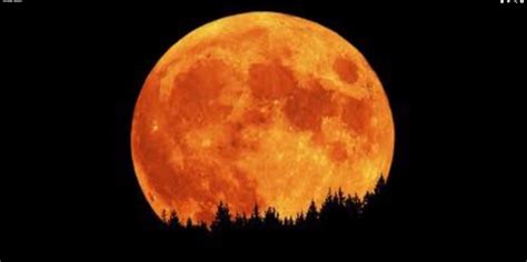 Summer Solstice Rare Full Moon Of June 20 2016 Bhavanajagat