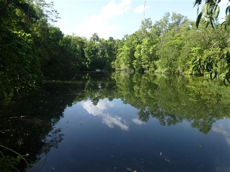 From 12 house rentals to 2 condo and apartment rentals, find a unique house rental for you to enjoy a. Howard Springs Nature Park (Darwin): UPDATED 2021 All You ...