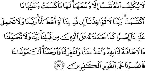 Dan ayat inilah yang menasakh apa yang dirasakan berat oleh para sahabat nabi, yaitu ayat yang artinya: Surat Al-Baqarah 2:286 - The Noble Qur'an - القرآن الكريم