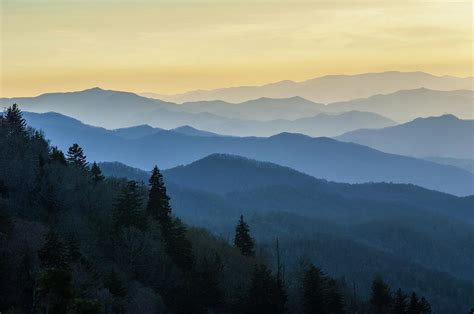 Blue Ridge Parkway Asheville Nc Those Layers Of Blue Photograph By