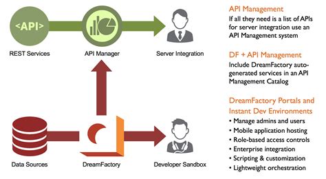 Beyond Api Management With Dreamfactory Dreamfactory Software Blog