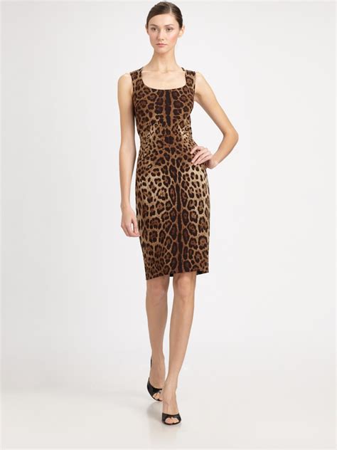dolce and gabbana silk leopard print dress lyst