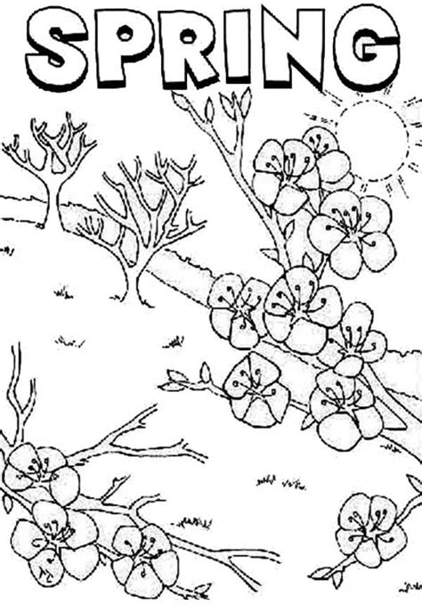 Check out our great selection of spring coloring pages for kids. Disney Springtime Coloring Pages - Coloring Home