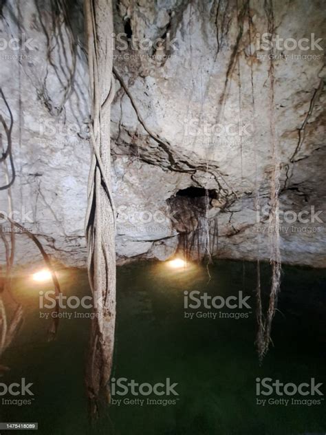 The Cenotes In Yucatan Mexico Are Deep Natural Wells A Natural
