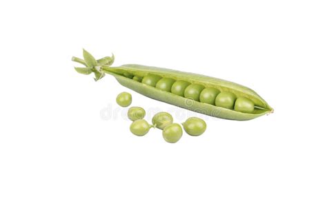 Green Peas In A Pod Stock Photo Image Of Color Vegetarian 55099250