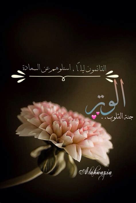 Browse and find a elizabeth's flowers promo code on this page. الوتر جنة القلوب💕 | Holy quran, Islam, Allah