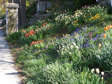 On trouve les pentes dans une multitude de jardins dans les villes et dans les régions rurales montagneuses. amenagement jardin talus - le spécialiste de la décoration ...