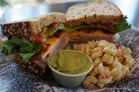 Exploring One Of The World's Best Zoos : The San Diego Zoo - World