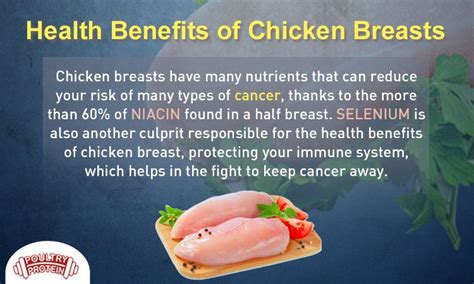 Chicken Breast Health Benefits