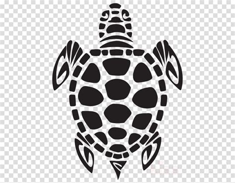Download Turtle Sea Turtle Stencil Black And White Green Sea Turtle