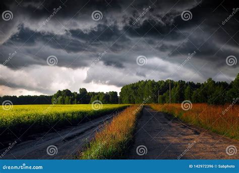 Field And Storm Clouds Stock Photo Image Of Forest 142972396