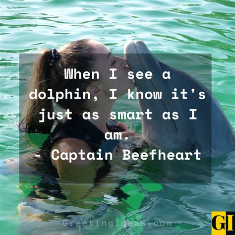 25 Happy Dolphin Quotes And Saying That Will Make Your Day