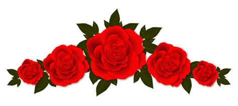 Bunga Mawar Merah Png John Rees