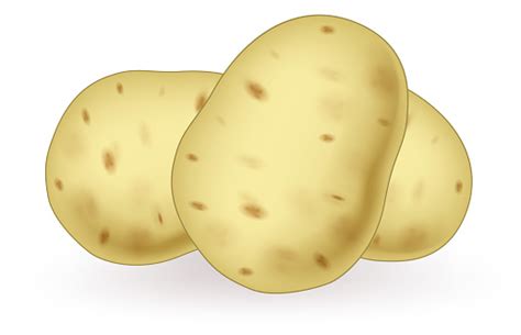 Cartoon Potato Vector Illustration Stock Illustration Download Image