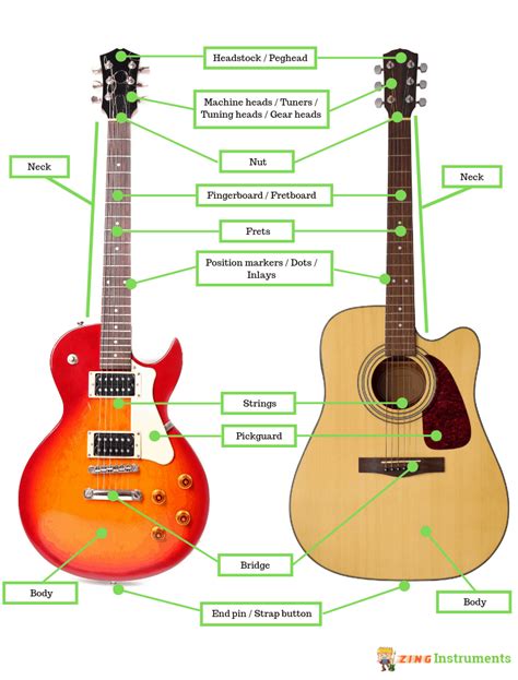 Guitar Anatomy Guide Every Part Of The Guitar Explained