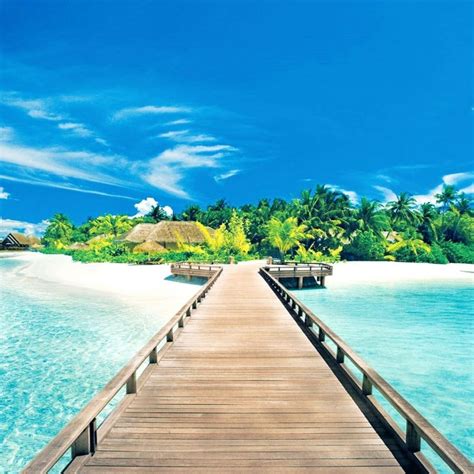 A collection of the top 49 bts 2021 wallpapers and backgrounds available for download for free. 10 Best Summer Backgrounds For Computer FULL HD 1920×1080 For PC Background 2021