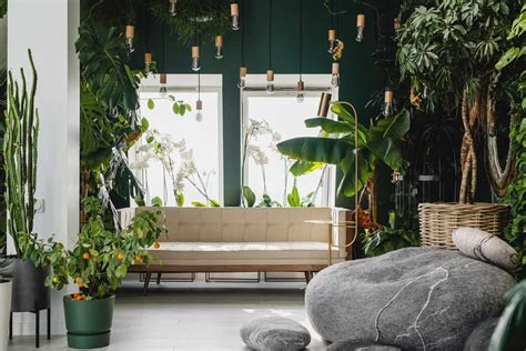 Incorporating Nature Biophilic Design Ideas For Your Living Room