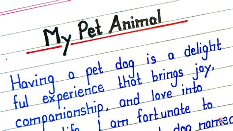 My Pet Animal Essay In English How To Write Essay On My Pet Animal