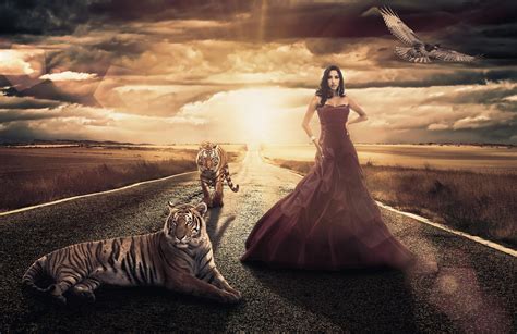 Queen Of The Tigers Full Hd Wallpaper And Background Image