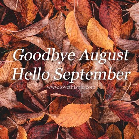 Orange And Brown Leaves Goodbye August Hello September Hello
