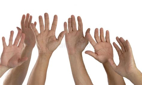 Six Hands Raised stock photo. Image of human, white, palm ...