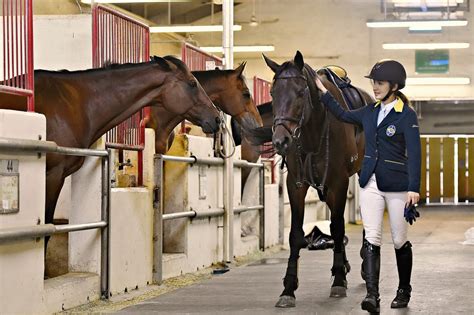 6 Horse Riding Schools In Hong Kong Tatler Asia