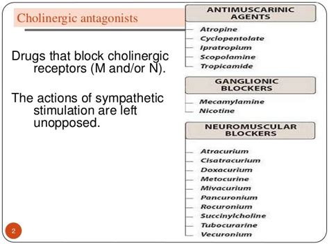 L 4 Cholinergic Antagonists
