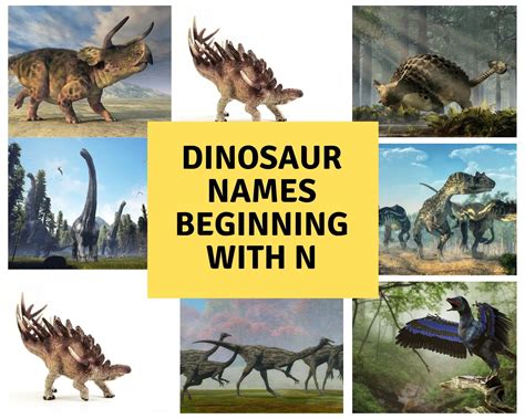 Dinosaur Names Beginning With N Dinosaur Facts For Kids