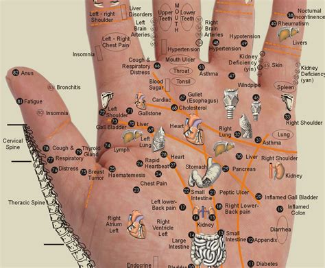 Healing Your Body Through Your Hands Acupressure Points Everything Soulful