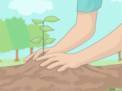 Comment lutter contre l'érosion des sols: 27 étapes