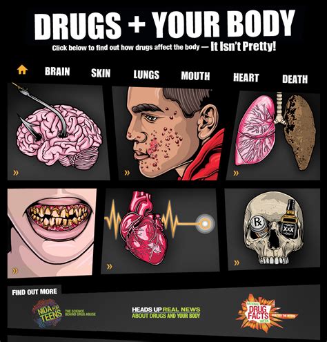 Drugs Your Body—it Isnt Pretty Interactive For 6th 12th Grade Lesson Planet
