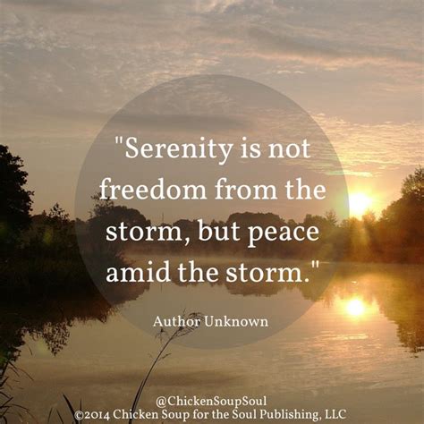 Serenity Is Not Freedom From The Storm But Peace Amid The Storm