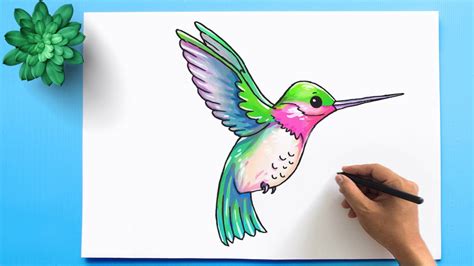Hummingbird Drawing Easy How To Draw A Hummingbird
