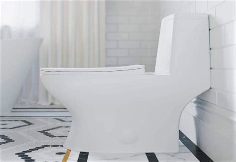 Best Dual Flush Toilets In 2022 Buying Guide