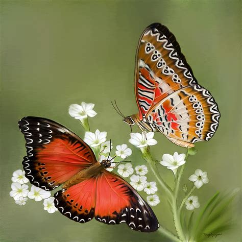 Common Lacewing Butterfly Digital Art By Thanh Thuy Nguyen Fine Art