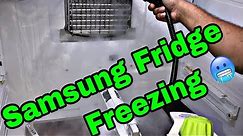 Samsung French Door Refrigerator Fridge Side not cooling