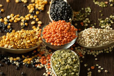 Natural Protein As The Basis Of Healthy Nutrition - Funender.com