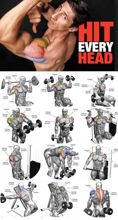Shoulder Workout That Hits Every Muscle Full Body Workout Blog