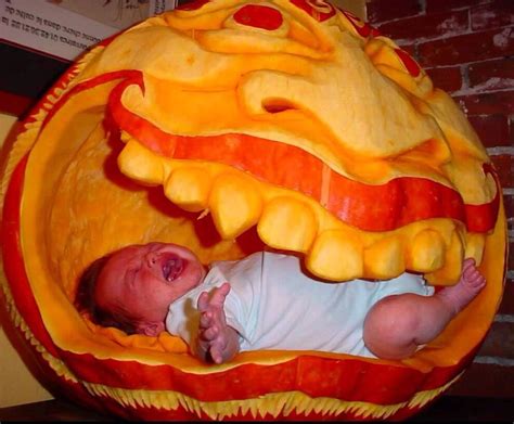 Pumpkin Eating Baby Lol Creative Food Eat Food