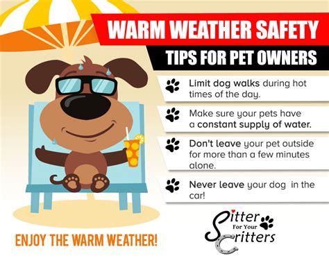 Keep car cool with seat covers. Summer Safety Tips For Dog Owners - A Must Read Guide ...