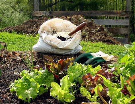 How To Start Start Composting In Your Garden Better Housekeeper