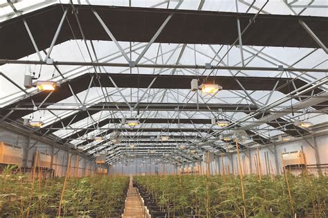 Maximizing Your Cannabis Greenhouse Greenhouse Product News