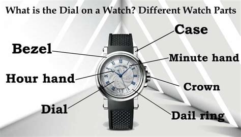 What Is The Dial On A Watch A Simple Explanation