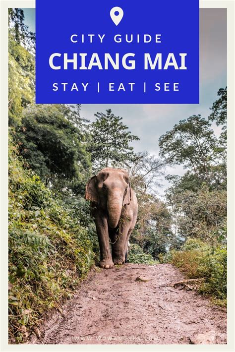 The Ultimate Travel Guide To The Best Things To Do In Chiang Mai Thailand Hang With Elephants